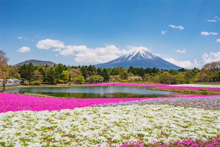 Faszination Japan  © iamdoctoregg/adobestock